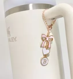 stanley cup accessories | Hitrendsetter